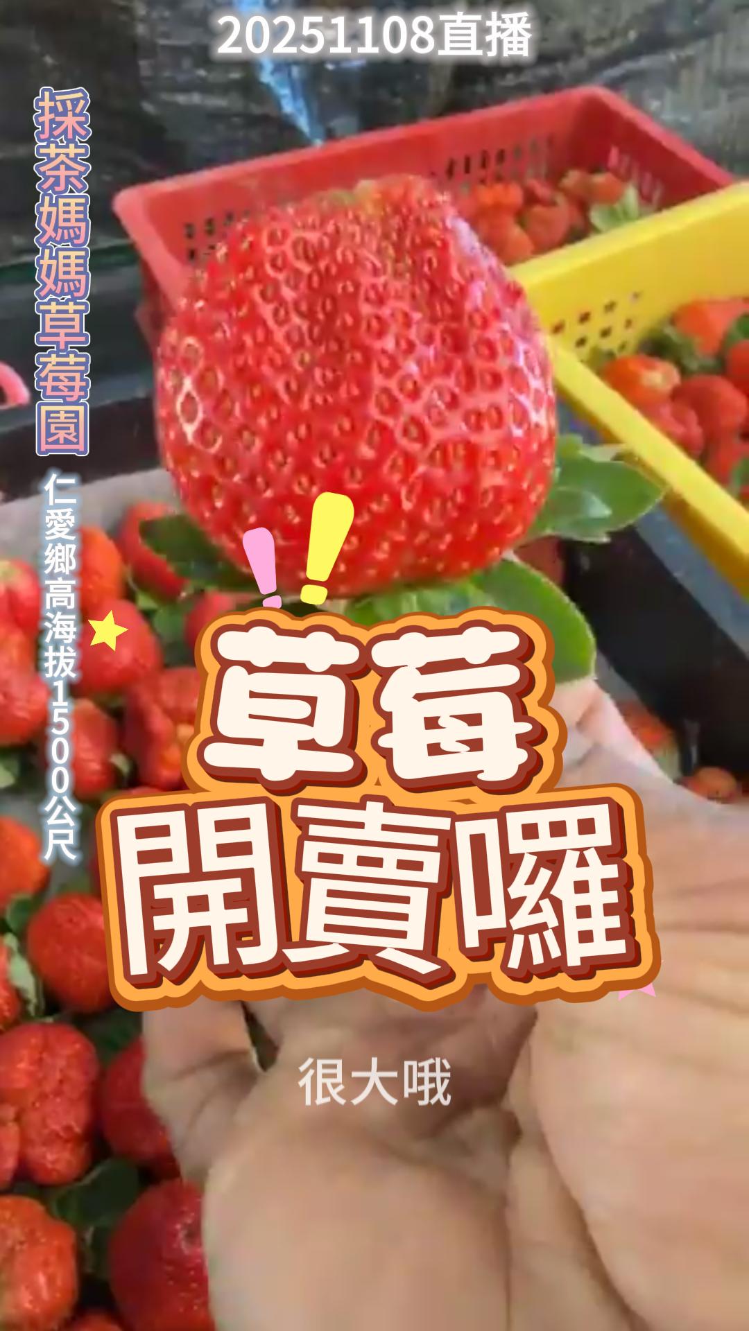 採茶媽媽草莓園