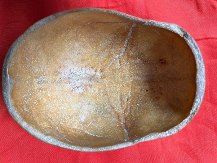 bc3dc8d8-3f72-4660-846f-e4cb3e560156