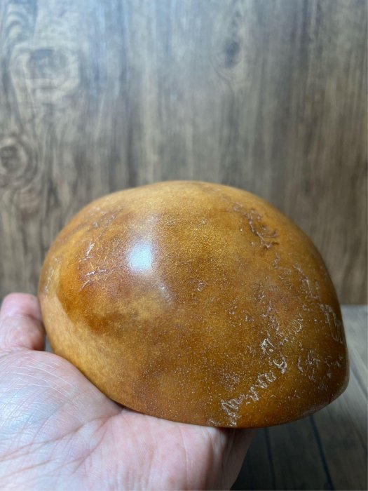 612a0b09-bc34-4c49-aa27-8c0fb2dd4c2b