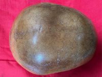 ea3b384e-15d8-494f-8549-e7d9eff44ebf